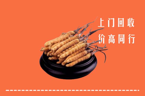高价求购：绍兴回收散虫草