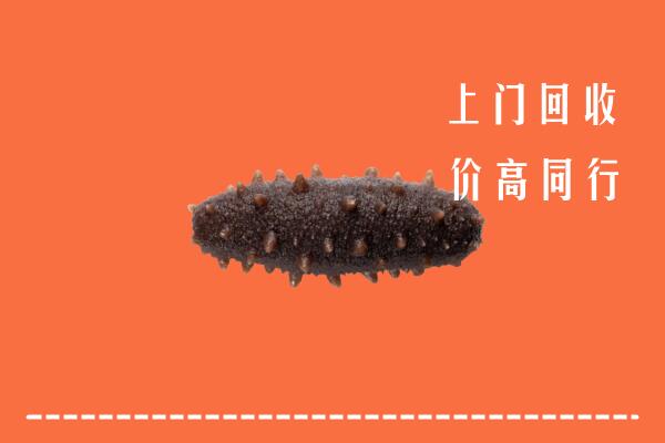 绍兴回收海参