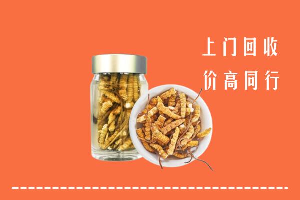 绍兴回收冬虫夏草